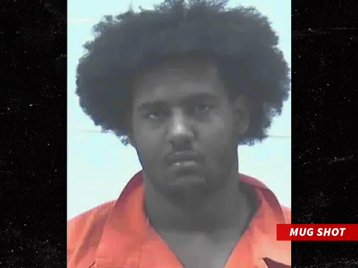 university-of-georgia-star-nyier-daniels-arrested-on-multiple-charges