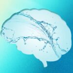 unlocking-your-brain-s-defense-against-alzheimer-s-disease