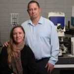 unlv-researchers-explore-caraway-seeds-as-potential-seizure-treatment