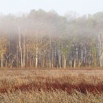 urgent-fire-warning-issued-for-virginia-amid-rising-fire-risk