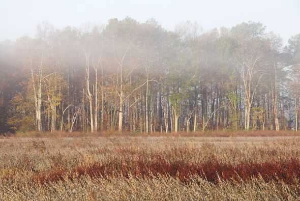 urgent-fire-warning-issued-for-virginia-amid-rising-fire-risk