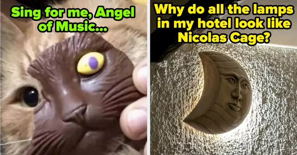 100-hilarious-photos-to-brighten-your-doomscrolling-now-