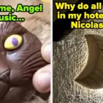 100-hilarious-photos-to-brighten-your-doomscrolling-now-