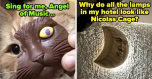 100-hilarious-photos-to-brighten-your-doomscrolling-now-