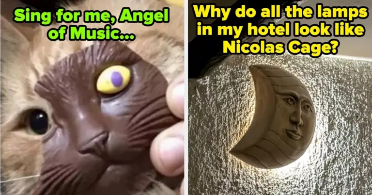 100-hilarious-photos-to-brighten-your-doomscrolling-now-