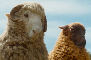 amazon-reveals-trailer-for-the-sheep-detectives-comedy-film