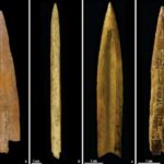 ancient-arrow-points-reveal-craft-production-in-argentina-s-prehistory
