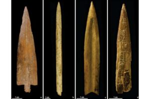 ancient-arrow-points-reveal-craft-production-in-argentina-s-prehistory