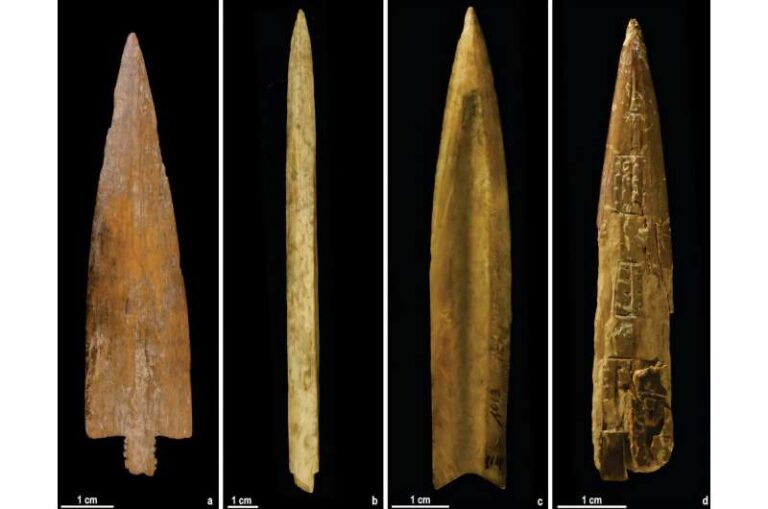 ancient-arrow-points-reveal-craft-production-in-argentina-s-prehistory
