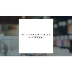 anheuser-busch-inbev-vs-willamette-valley-vineyards-a-financial-analysis