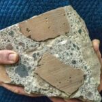 archaeologists-discover-ancient-roman-concrete-that-heals-itself