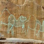 archaeologists-uncover-12-000-year-old-camel-carvings-in-saudi-desert