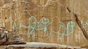 archaeologists-uncover-12-000-year-old-camel-carvings-in-saudi-desert