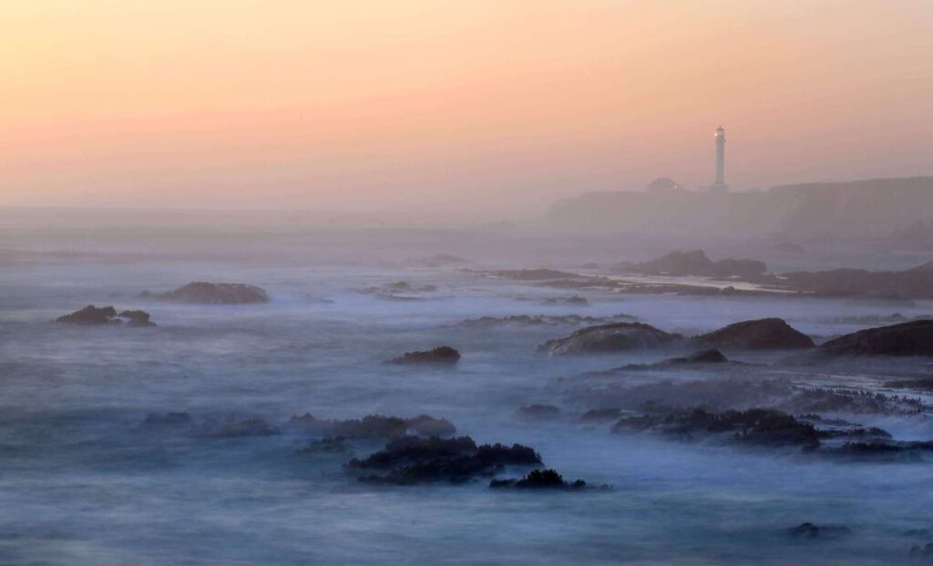 bay-area-fog-a-force-shaping-ecosystems-and-culture-today