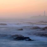 bay-area-fog-a-force-shaping-ecosystems-and-culture-today