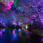 christmas-in-the-garden-spectacular-lights-shine-in-fort-worth