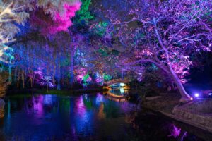 christmas-in-the-garden-spectacular-lights-shine-in-fort-worth