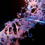 crispr-breakthrough-cuts-stem-cell-processing-from-months-to-weeks