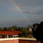 cu-boulder-invests-872k-in-innovative-research-projects-by-2026