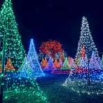 denver-s-dazzling-holiday-lights-must-see-displays-for-2025