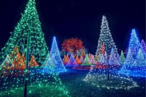 denver-s-dazzling-holiday-lights-must-see-displays-for-2025
