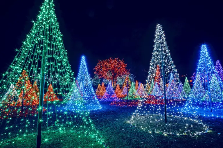 denver-s-dazzling-holiday-lights-must-see-displays-for-2025