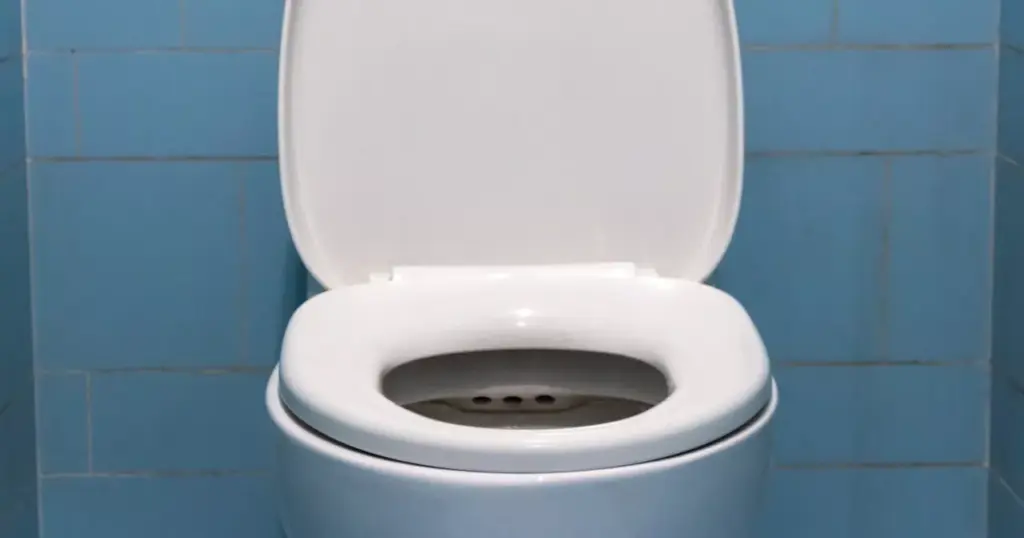 experts-identify-9-alarming-signs-in-toilet-health-indicators