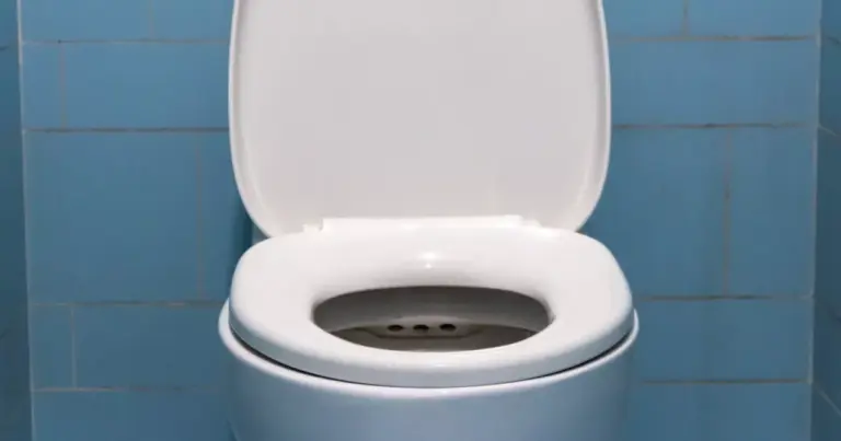 experts-identify-9-alarming-signs-in-toilet-health-indicators