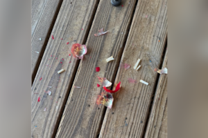 grandma-breaks-christmas-ornament-uncovers-hidden-time-capsule