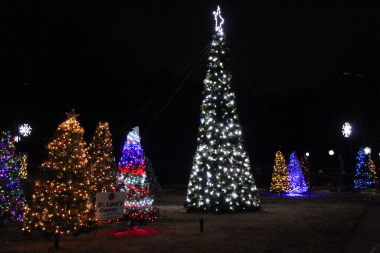 granite-quarry-s-annual-christmas-event-lights-up-lake-park