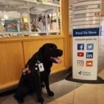 holland-hospital-celebrates-volunteers-impact-during-holidays