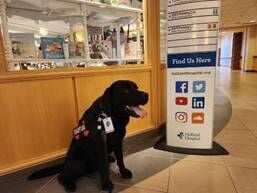 holland-hospital-celebrates-volunteers-impact-during-holidays