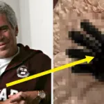house-committee-releases-disturbing-photos-from-epstein-s-estate