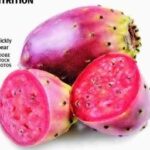 magnesium-s-rise-essential-mineral-fuels-health-and-industry