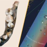 major-scientific-discoveries-reveal-secrets-of-human-history-and-the-universe