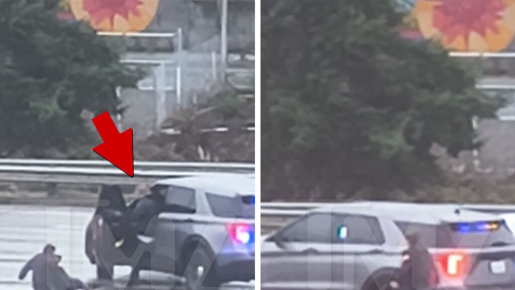 man-steals-patrol-car-from-officer-in-seattle-leads-police-chase