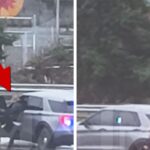 man-steals-patrol-car-from-officer-in-seattle-leads-police-chase