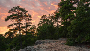 master-landscape-editing-a-practical-guide-to-lightroom-workflow