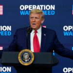 mrna-technology-advances-cancer-treatment-thanks-to-operation-warp-speed