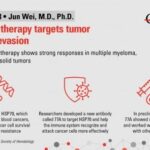 new-antibody-therapy-77a-shows-promise-against-blood-cancers