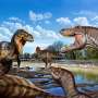 new-study-confirms-nanotyrannus-as-separate-species-from-t-rex