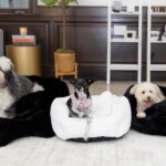 peachskinsheets-launches-luxurious-pet-beds-with-special-offer