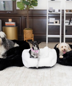 peachskinsheets-launches-luxurious-pet-beds-with-special-offer