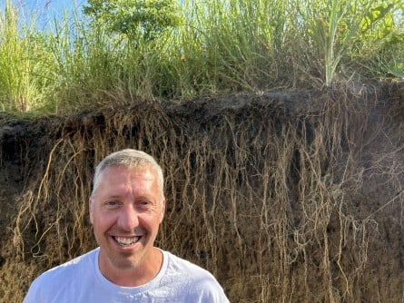 prairie-strips-boost-soil-health-in-just-over-a-decade