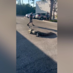 rare-japanese-robot-toy-car-fetches-over-230-000-at-auction