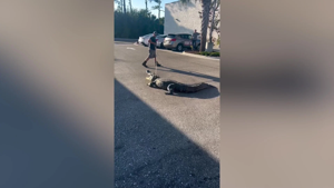 rare-japanese-robot-toy-car-fetches-over-230-000-at-auction