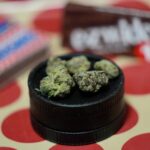 reevaluating-cannabis-policy-a-call-for-responsible-approach