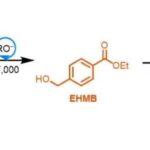 researchers-transform-household-plastic-into-anti-cancer-drug-components