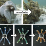 researchers-unveil-octoid-a-revolutionary-soft-robot-inspired-by-octopuses