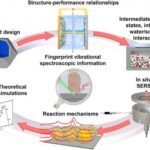 revolutionary-ec-sers-technique-unlocks-insights-into-electrocatalysis